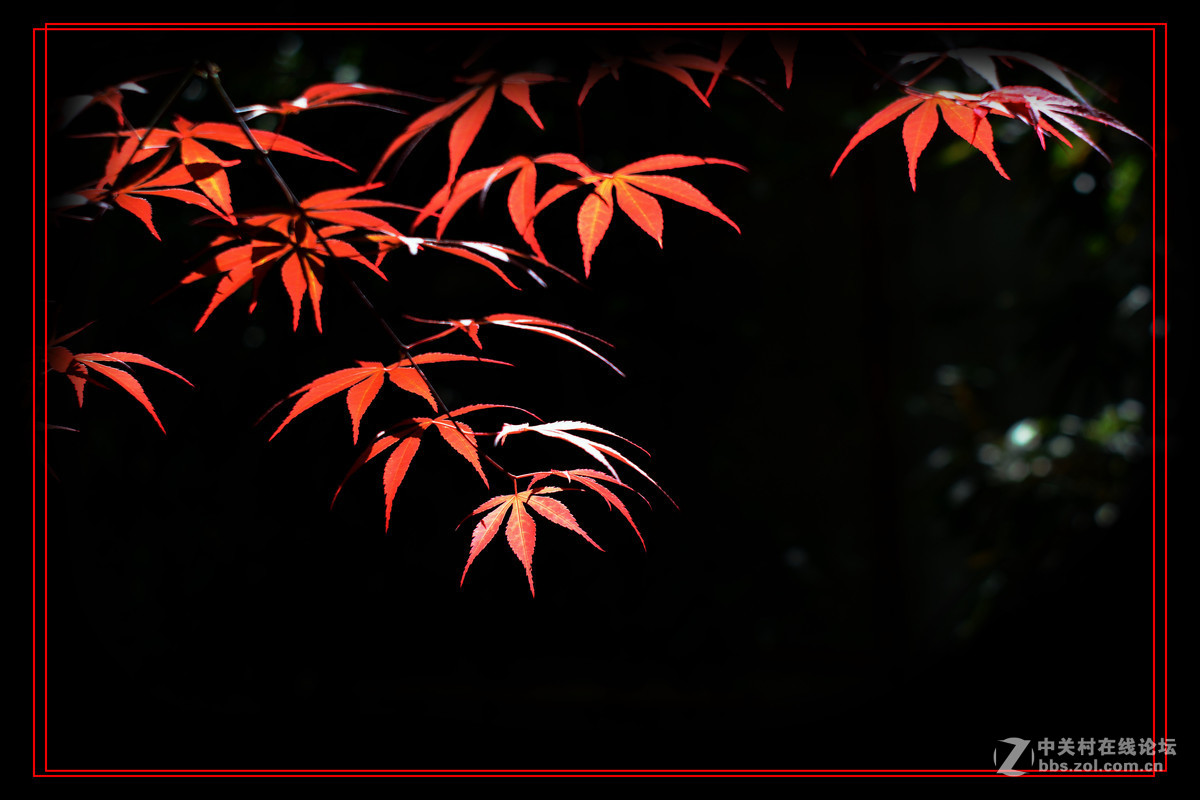 #版主坐堂# 赤峰摄影星空(中国)2016年8月份部分精华作品