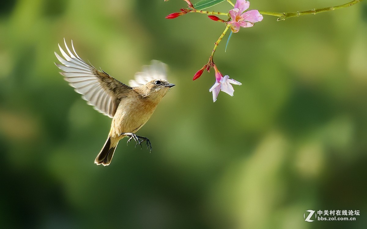 #版主坐堂# 赤峰摄影星空(中国)2016年8月份部分精华作品