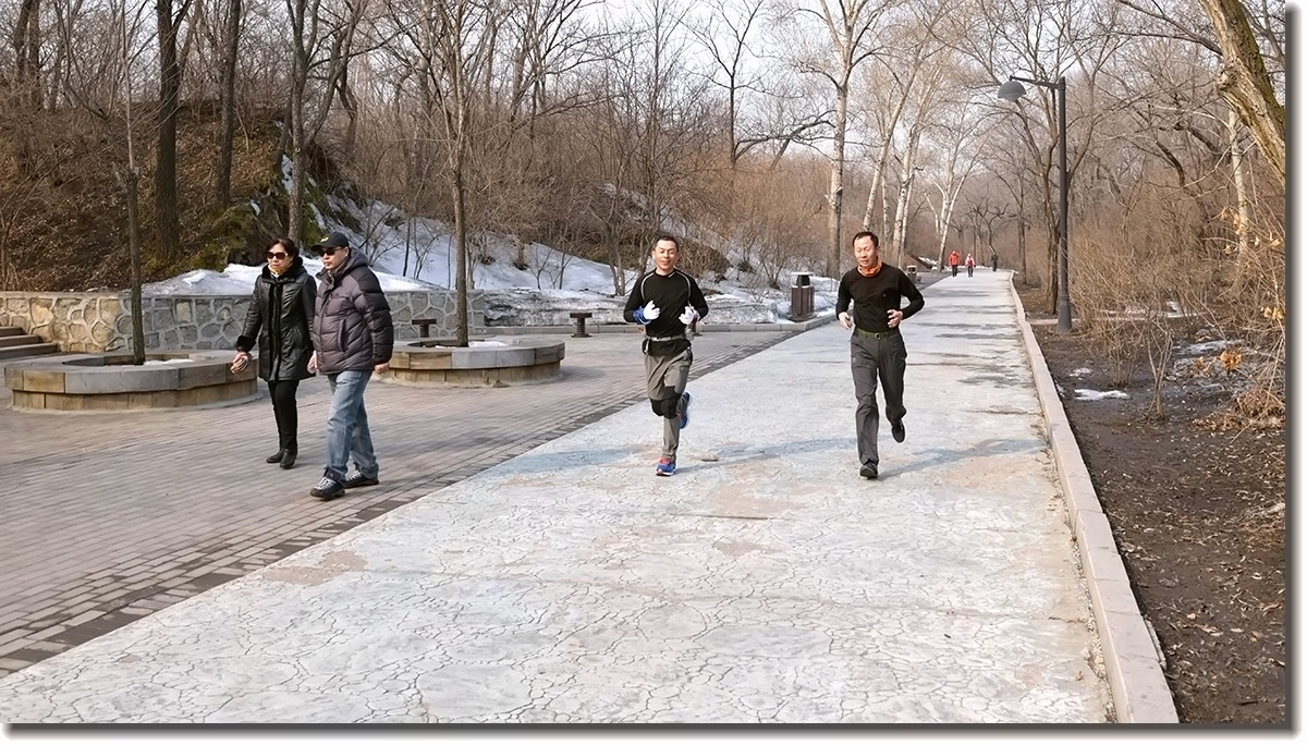 17.3.18劳动公园之五——主角登场