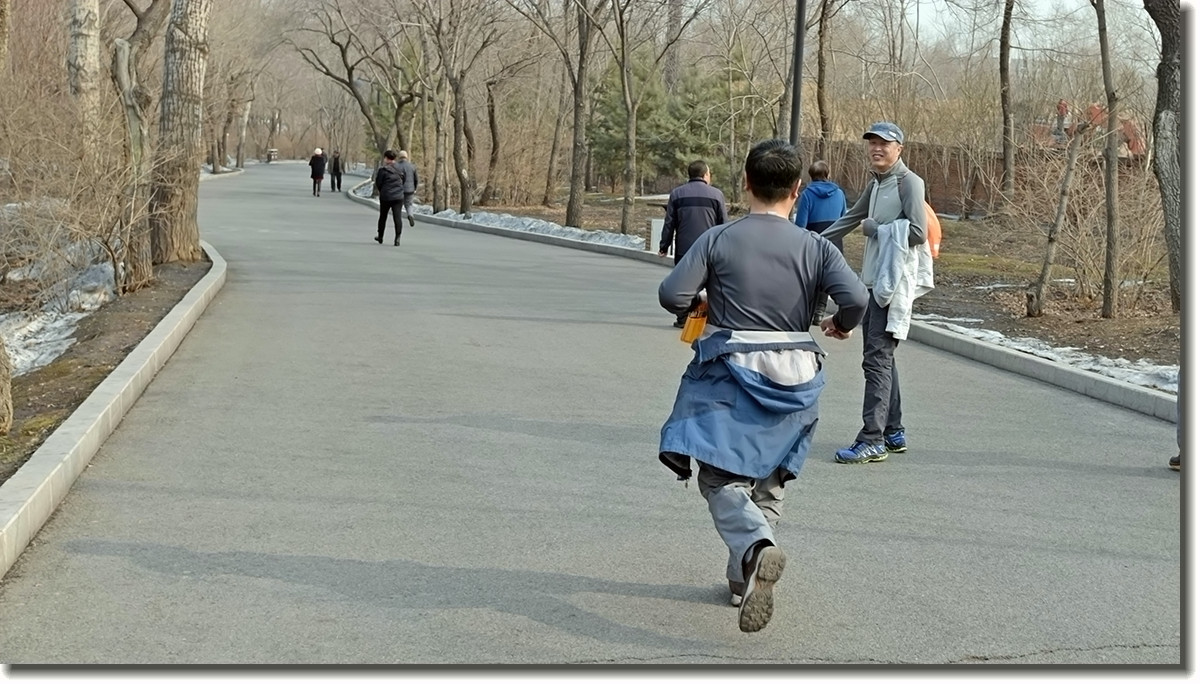 17.3.18劳动公园之五——主角登场