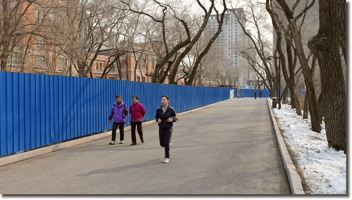 17.3.18劳动公园之五——主角登场