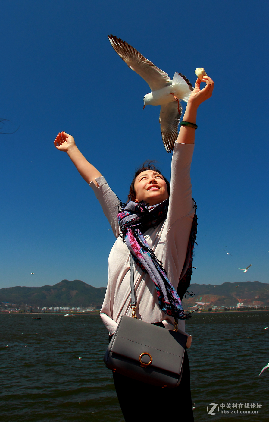 #佳能月赛-人与自然# 清清滇池水，人鸥共和谐。