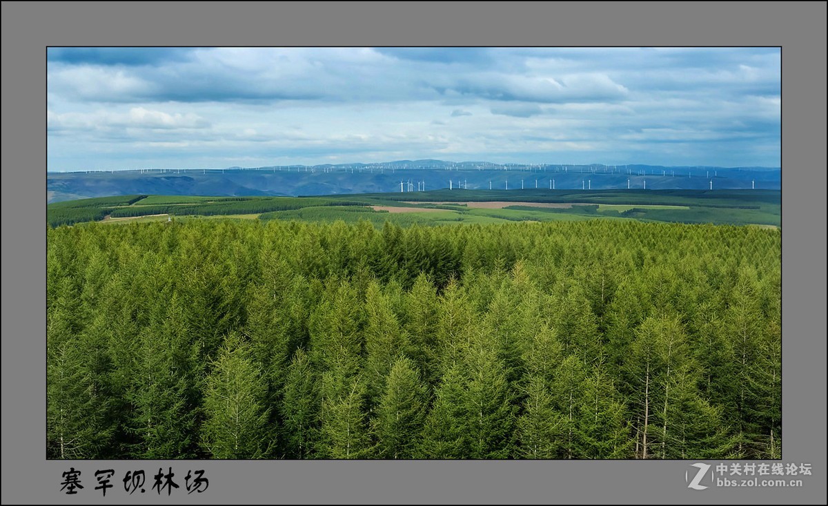 塞罕坝林场-中关村在线摄影论坛
