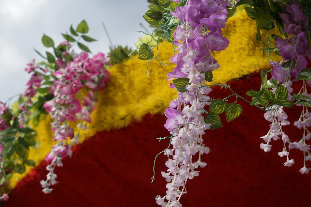 真真假假，g7x2试用（之二）