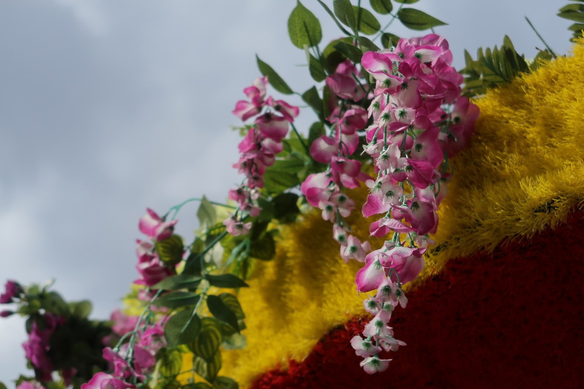 真真假假，g7x2试用（之二）