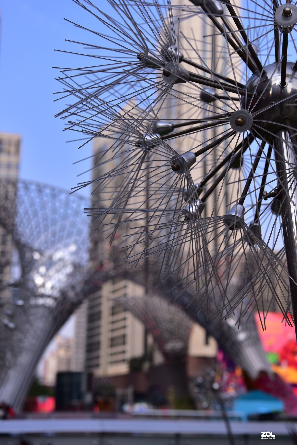 新春快乐-福田花市随拍