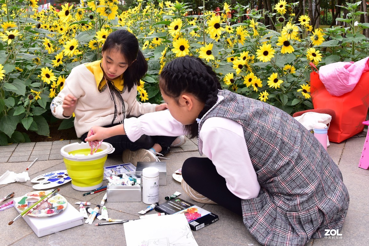 向阳花-喜气洋洋迎新春