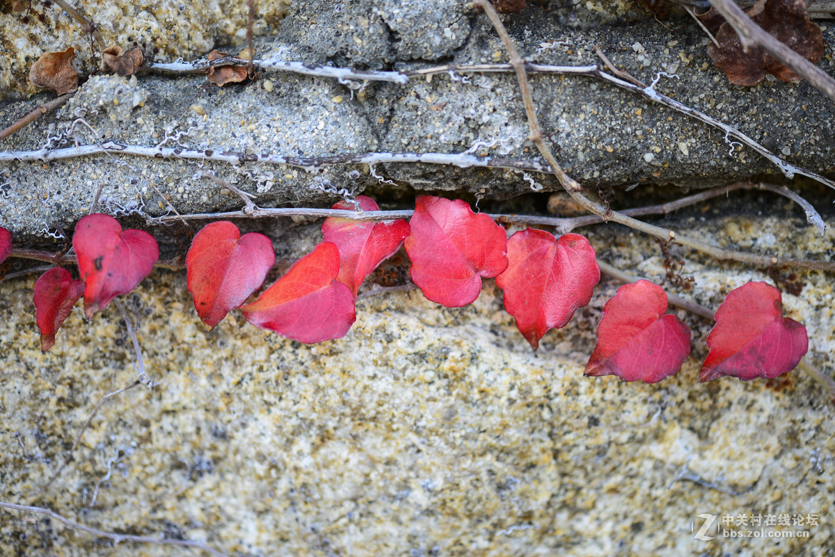 双机、双镜拍摄烟台养马岛P14