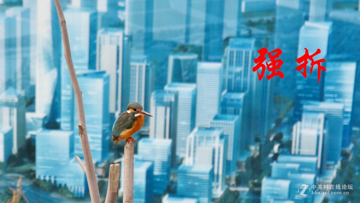 强拆！