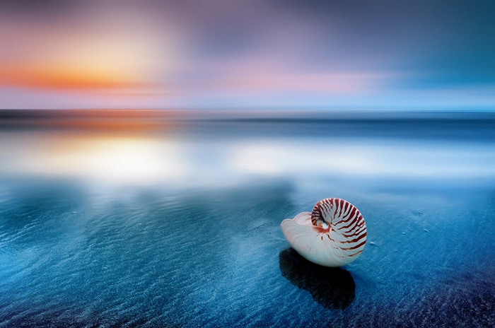 5招教你拿下海景风光，分分钟拍出惊艳大片