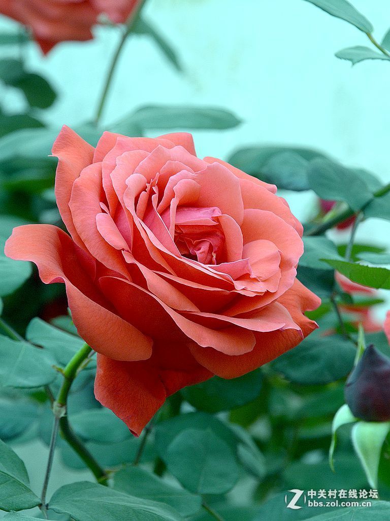 #版主坐堂# 赤峰摄影星空(中国)2016年8月份部分精华作品