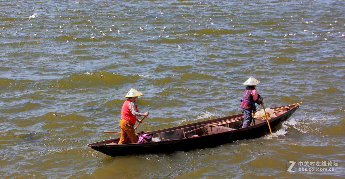 #佳能月赛-人与自然# 清清滇池水，人鸥共和谐。