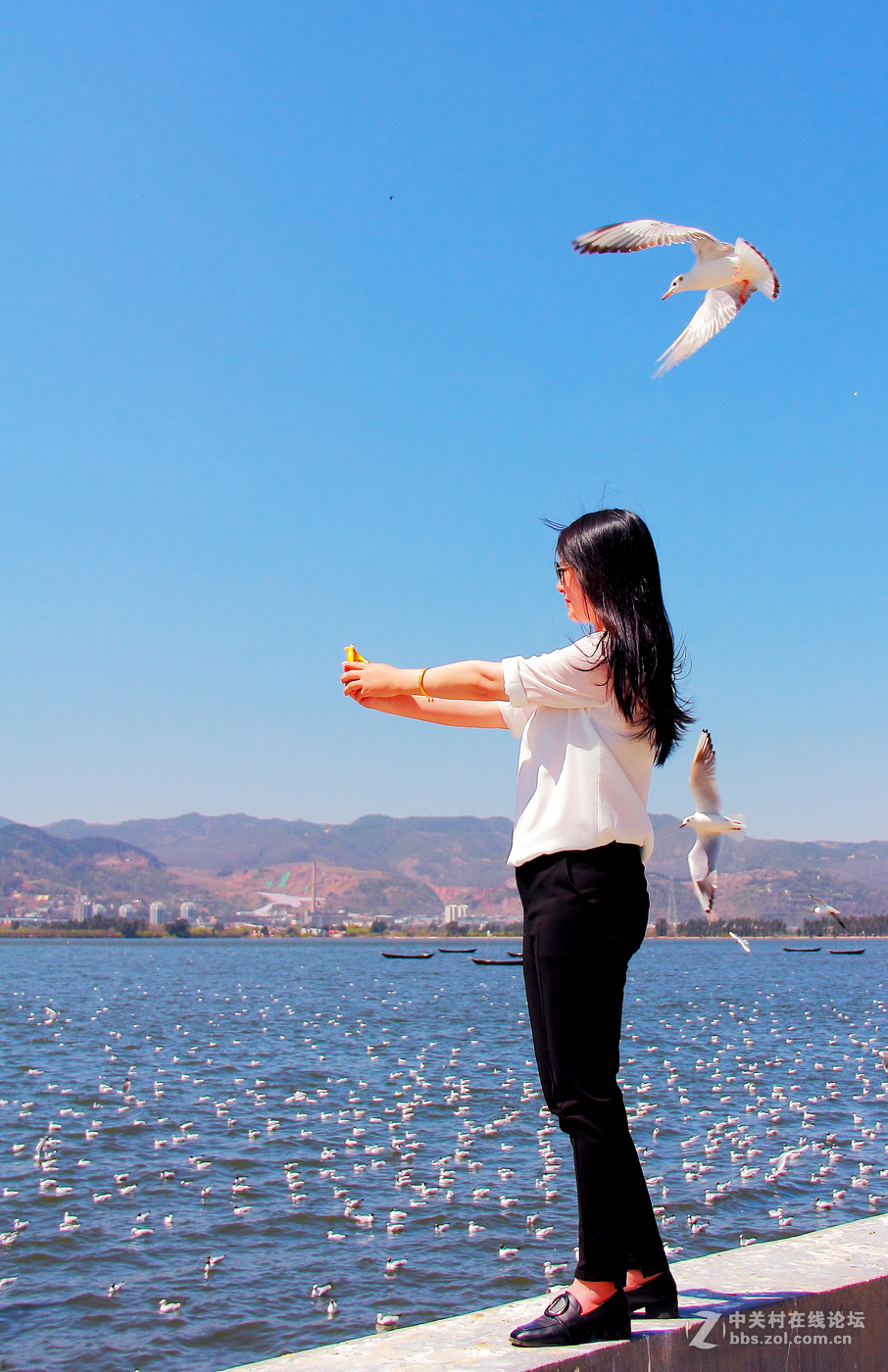 #佳能月赛-人与自然# 清清滇池水，人鸥共和谐。