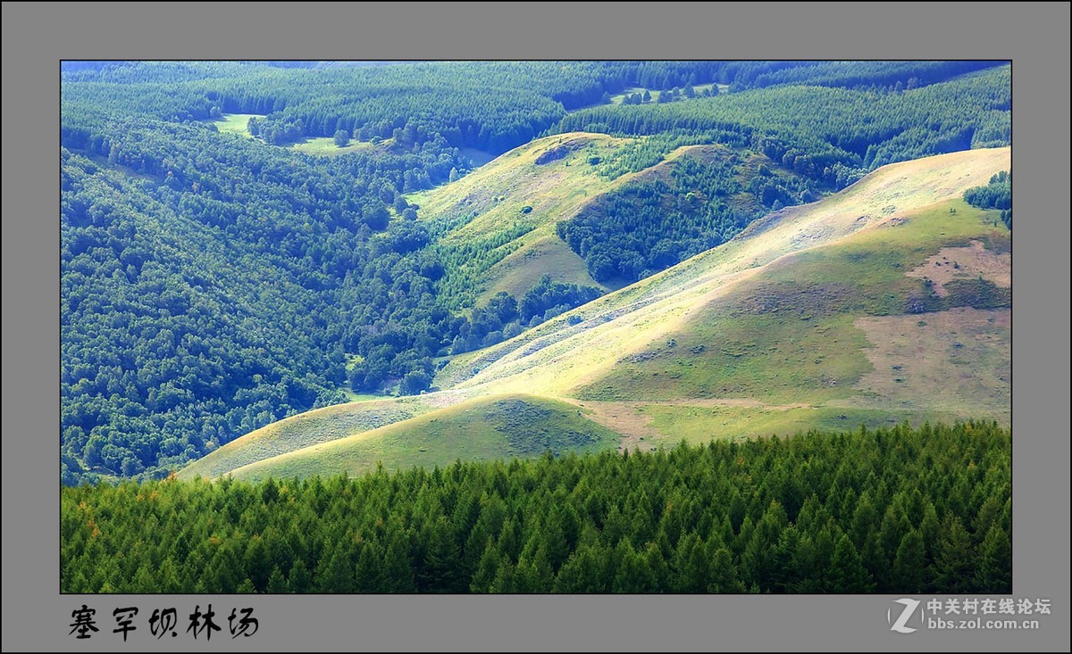 塞罕坝林场-中关村在线摄影论坛