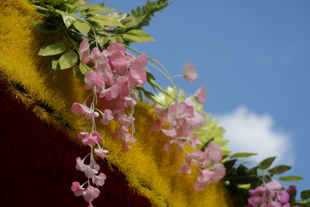 真真假假，g7x2试用（之二）