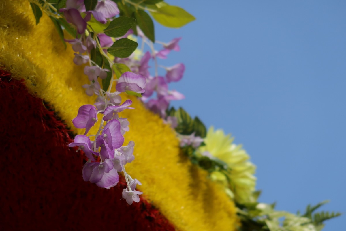 真真假假，g7x2试用（之二）