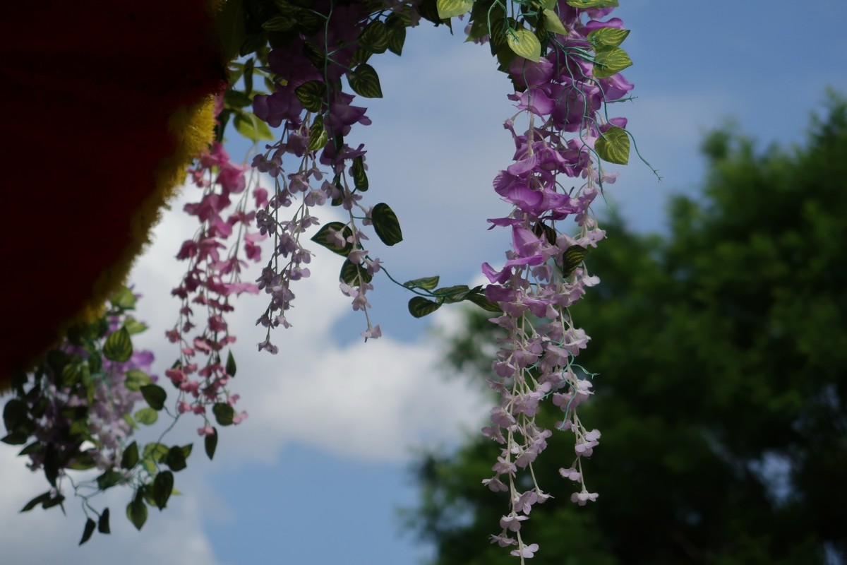 真真假假，g7x2试用（之二）