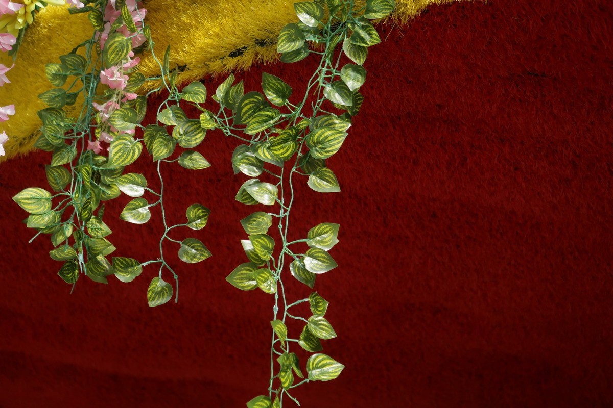 真真假假，g7x2试用（之二）