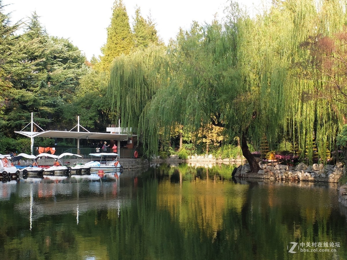 公园虽小，景色怡人——摄于上海某一社区公园