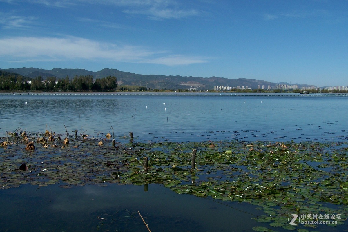 【滇池风光……草海】