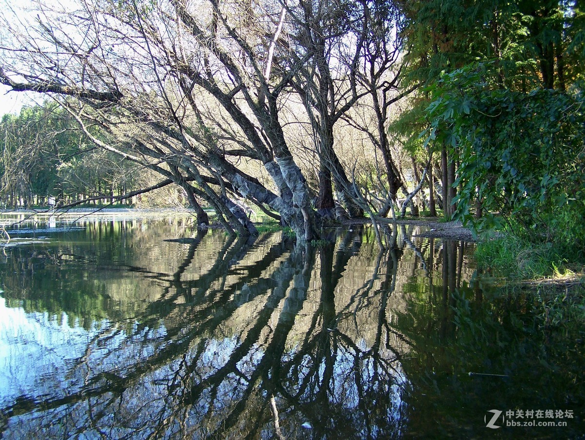 【滇池风光……草海】