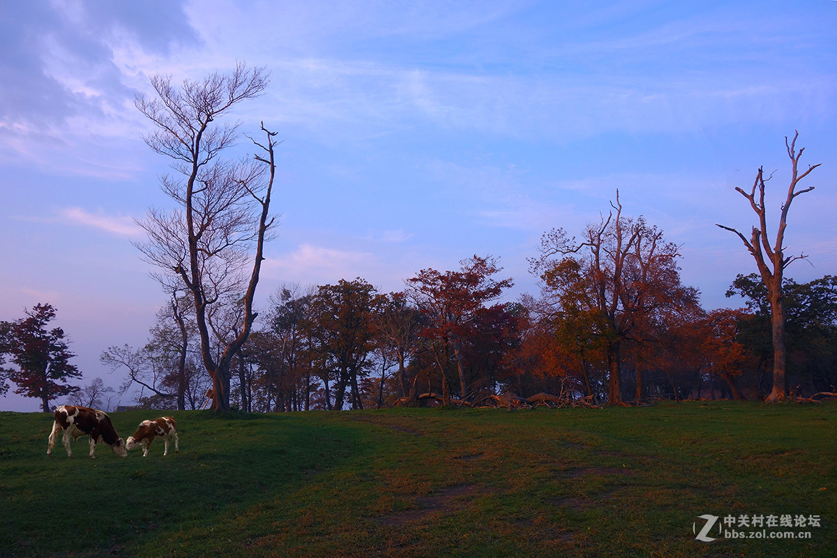 感受东北的秋色 （一）