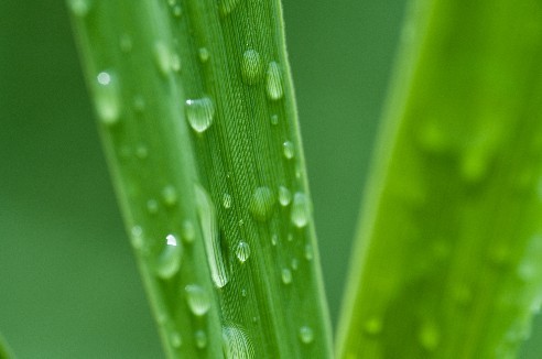 再一组中一微距