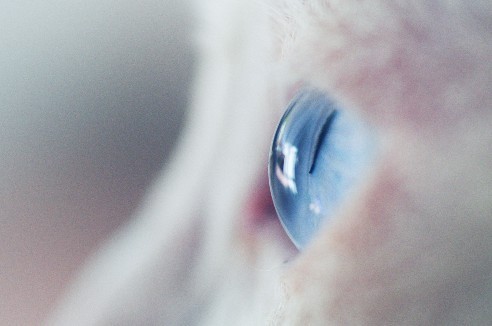 中一85f2手动镜头加微距镜