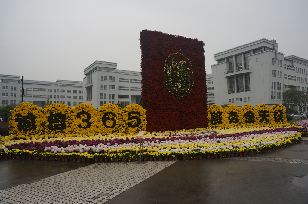 上海大学菊花展2015（雨天拍摄）