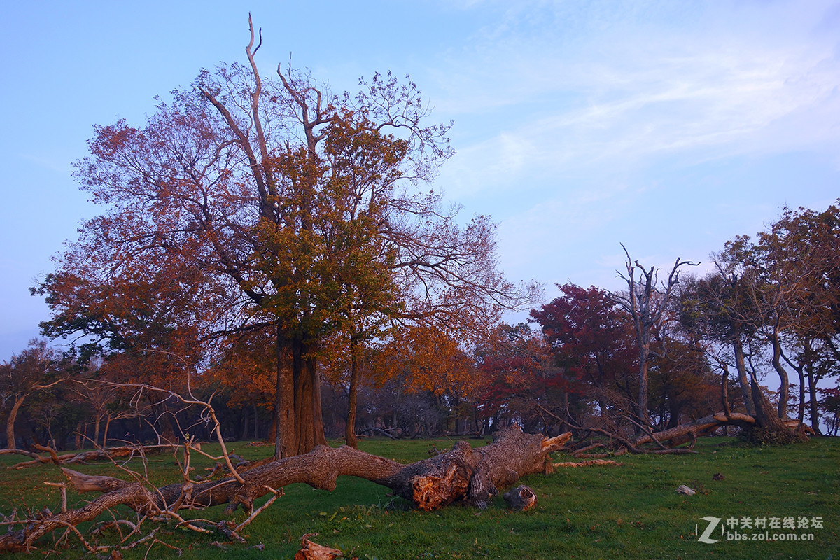 感受东北的秋色 （一）