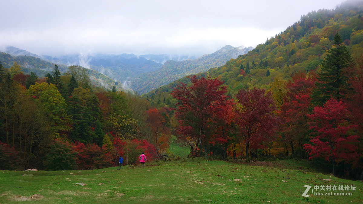 感受东北的秋色 （一）