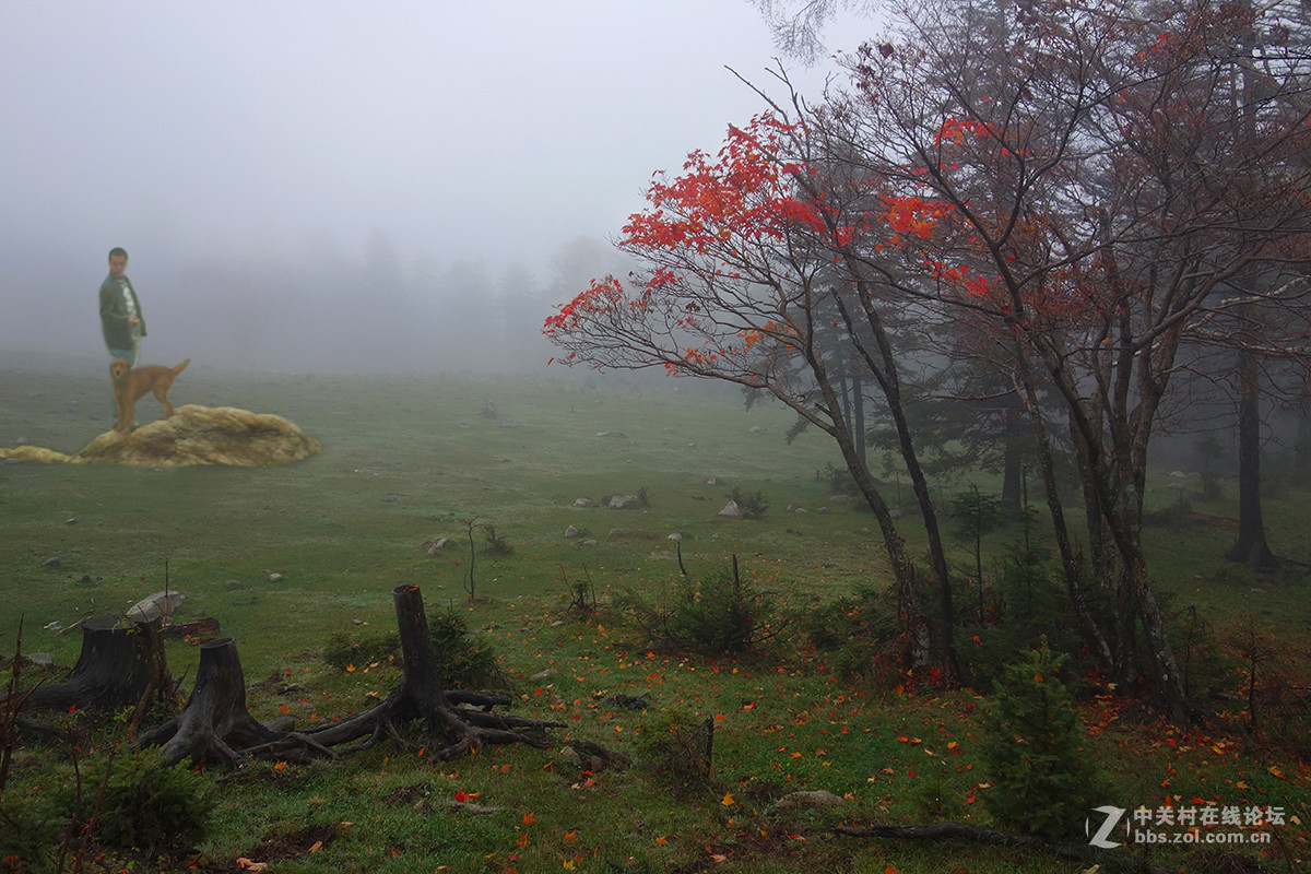 感受东北的秋色 （一）