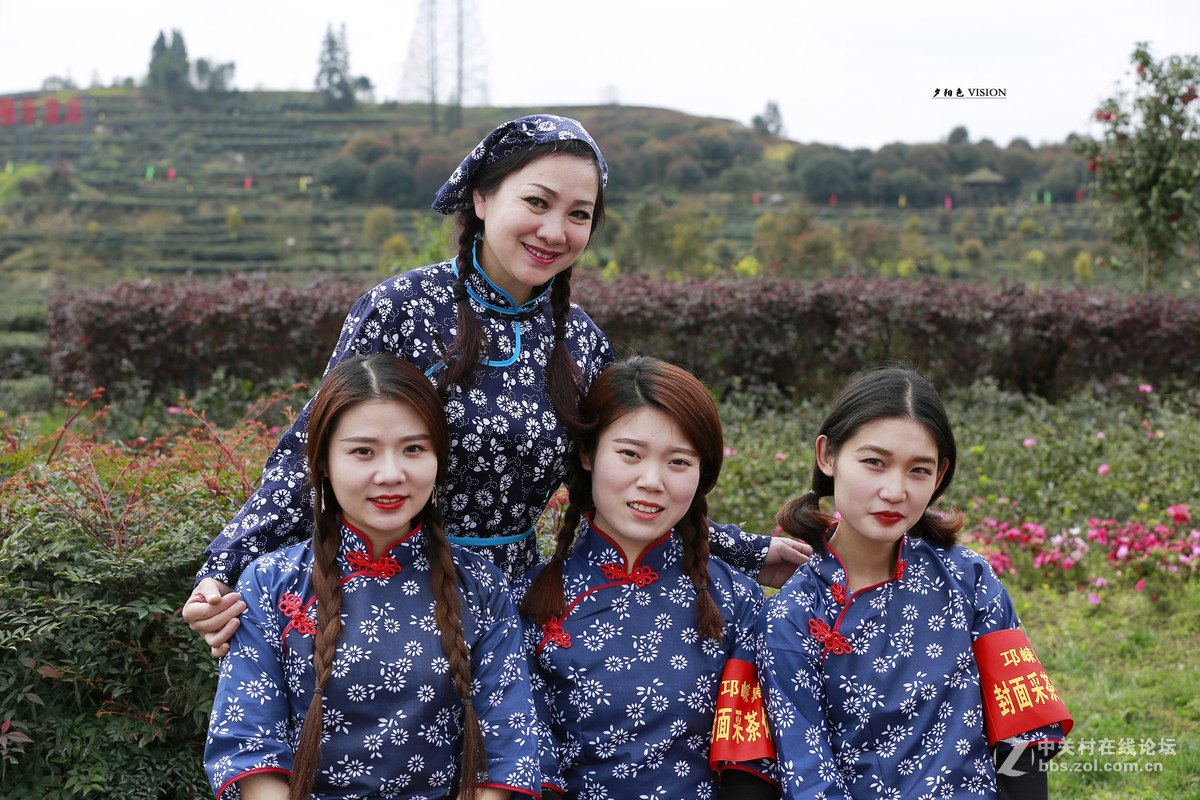 采茶时节（第七届成都采茶节邛崃分会场实地体验）2