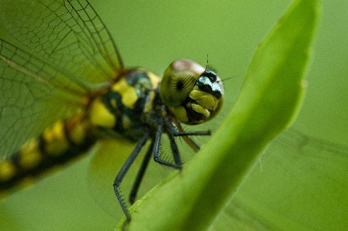 再一组中一微距