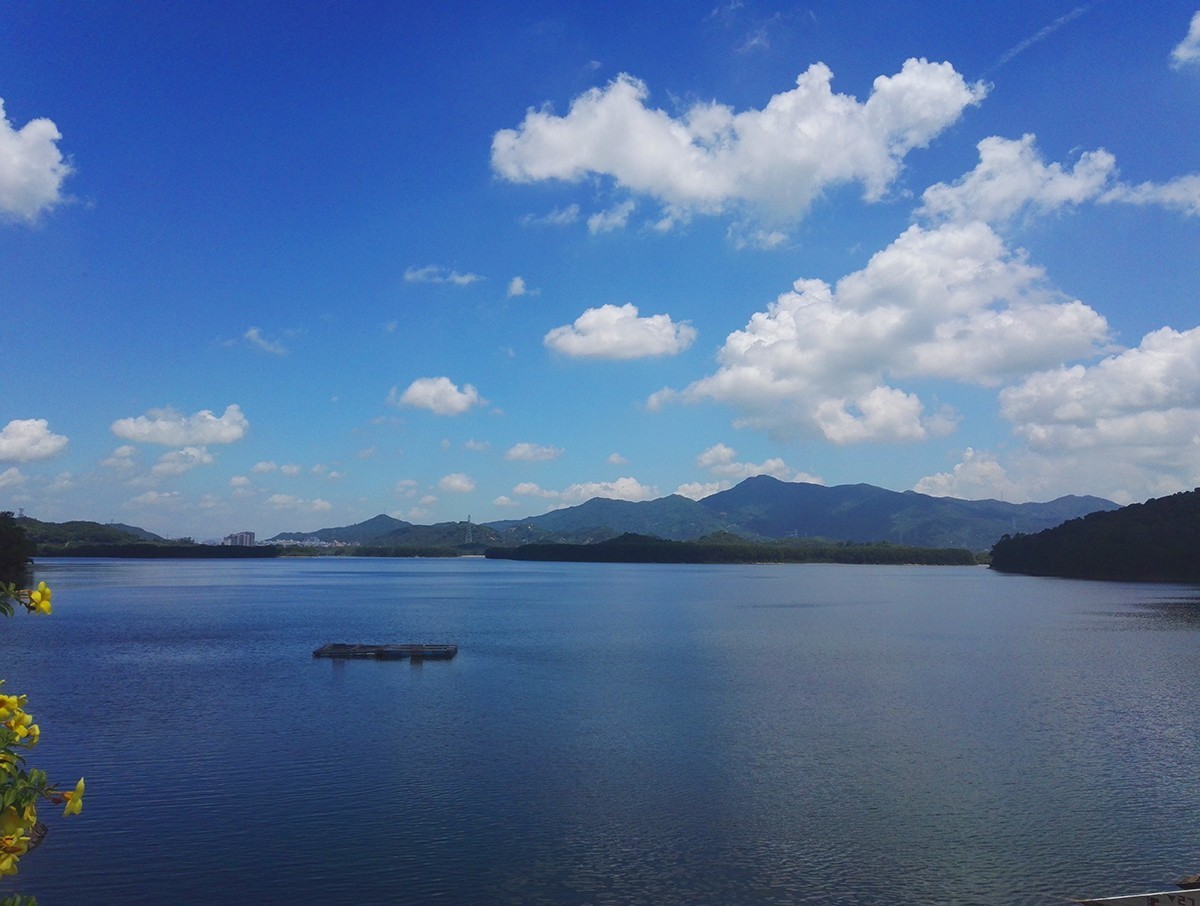 深圳市西丽水库