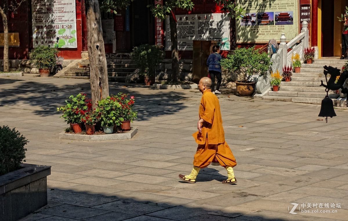 历久弥新宝通寺