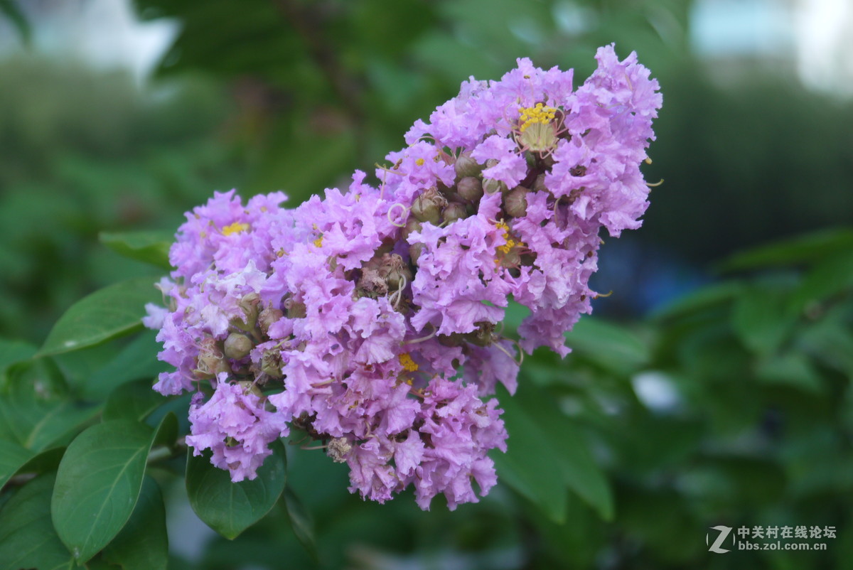 把旧相机拿出来晒晒太阳