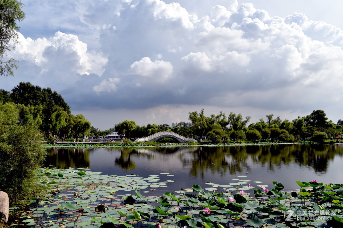 夏日的太阳岛公园