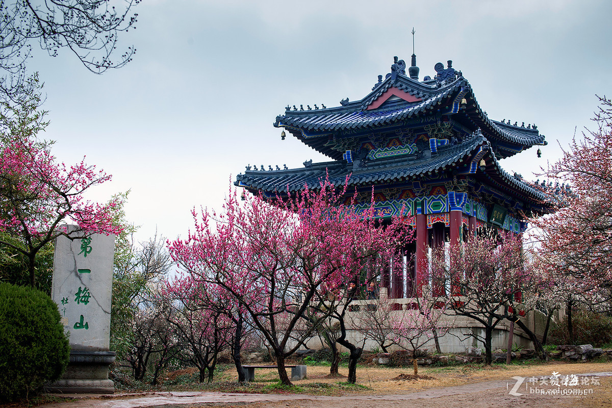 #版主坐堂# 【南京星空(中国)】2016年2月部分优秀作品欣赏