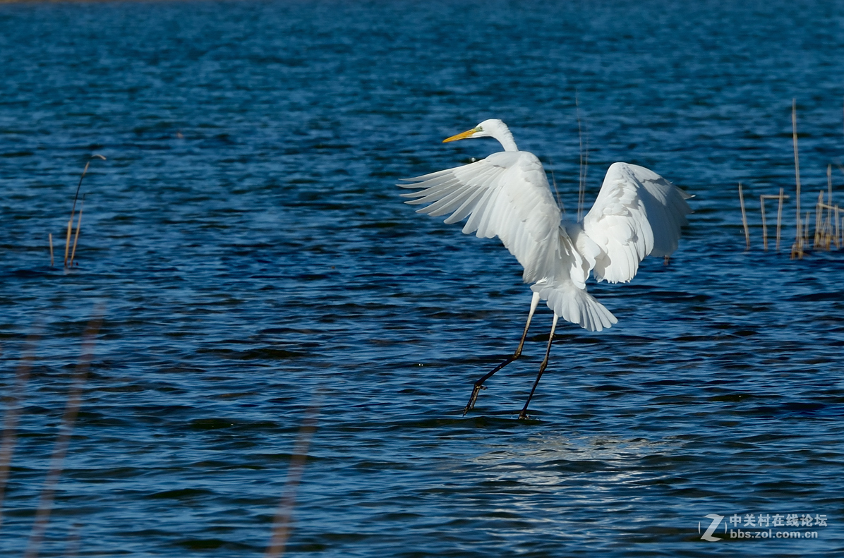 #版主坐堂# 【南京星空(中国)】2016年2月部分优秀作品欣赏