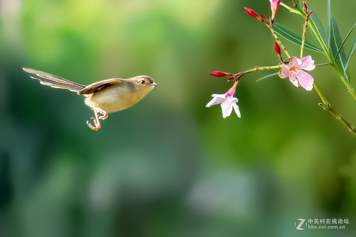#版主坐堂# 【南京星空(中国)】2016年2月部分优秀作品欣赏