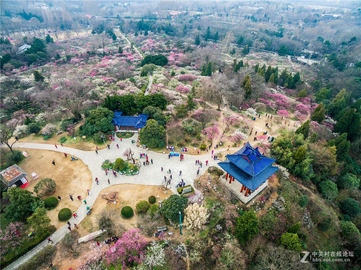 #版主坐堂# 【南京星空(中国)】2016年2月部分优秀作品欣赏