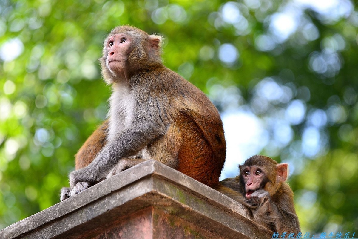 #版主坐堂# 【南京星空(中国)】2016年2月部分优秀作品欣赏