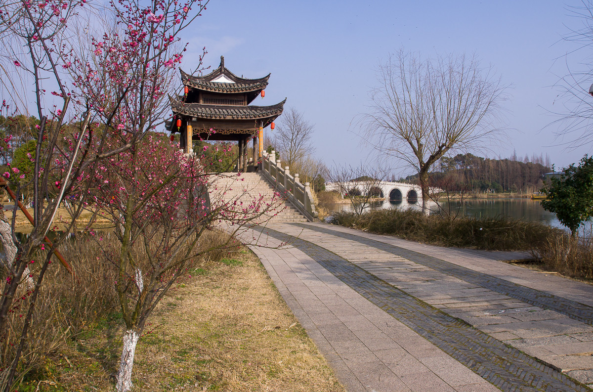 #版主坐堂# 【南京星空(中国)】2016年2月部分优秀作品欣赏