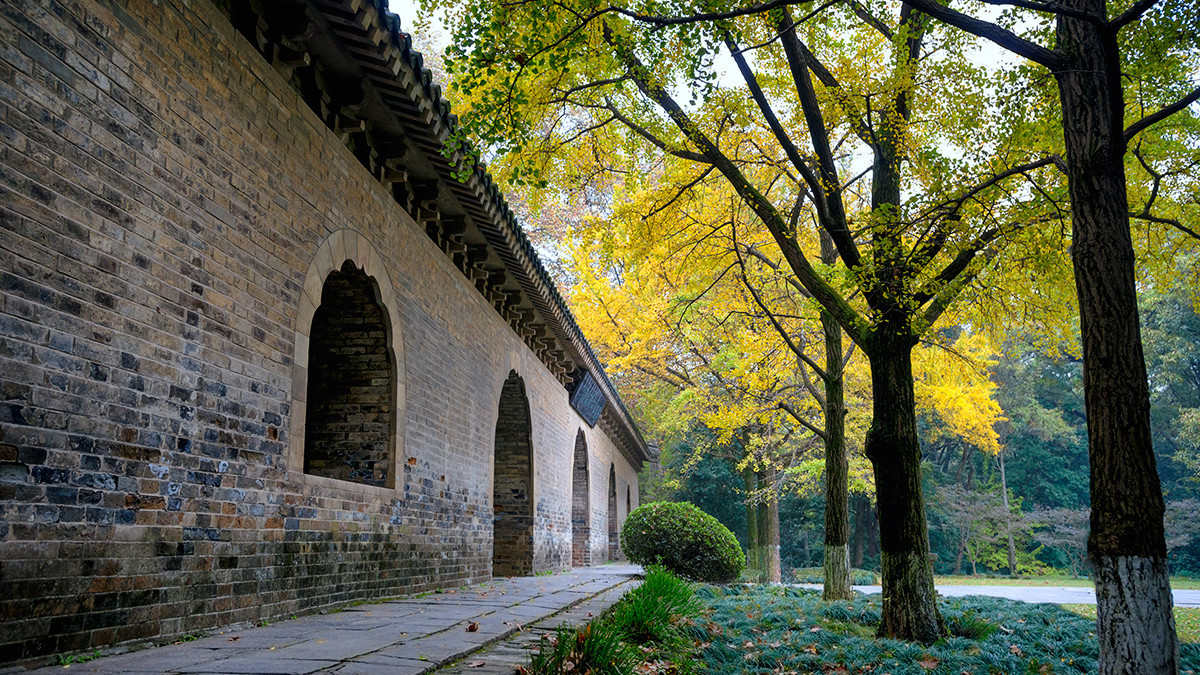 #版主坐堂# 【南京星空(中国)】2016年2月部分优秀作品欣赏