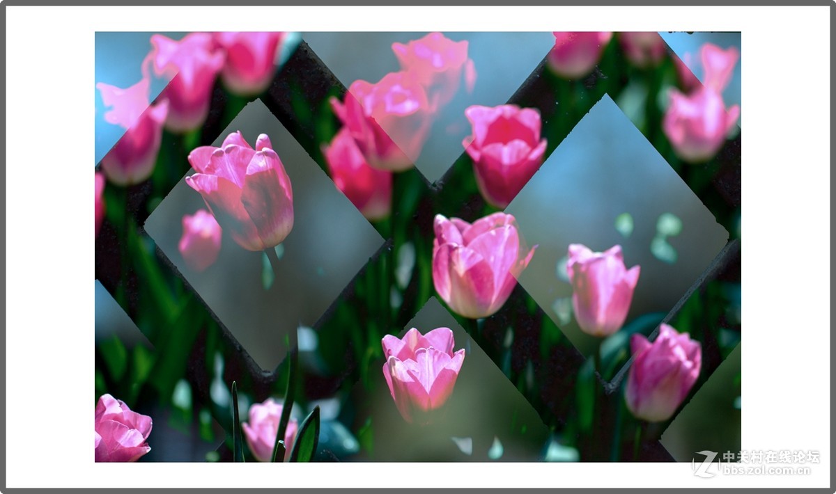 叠光重影多重曝光摄影习作