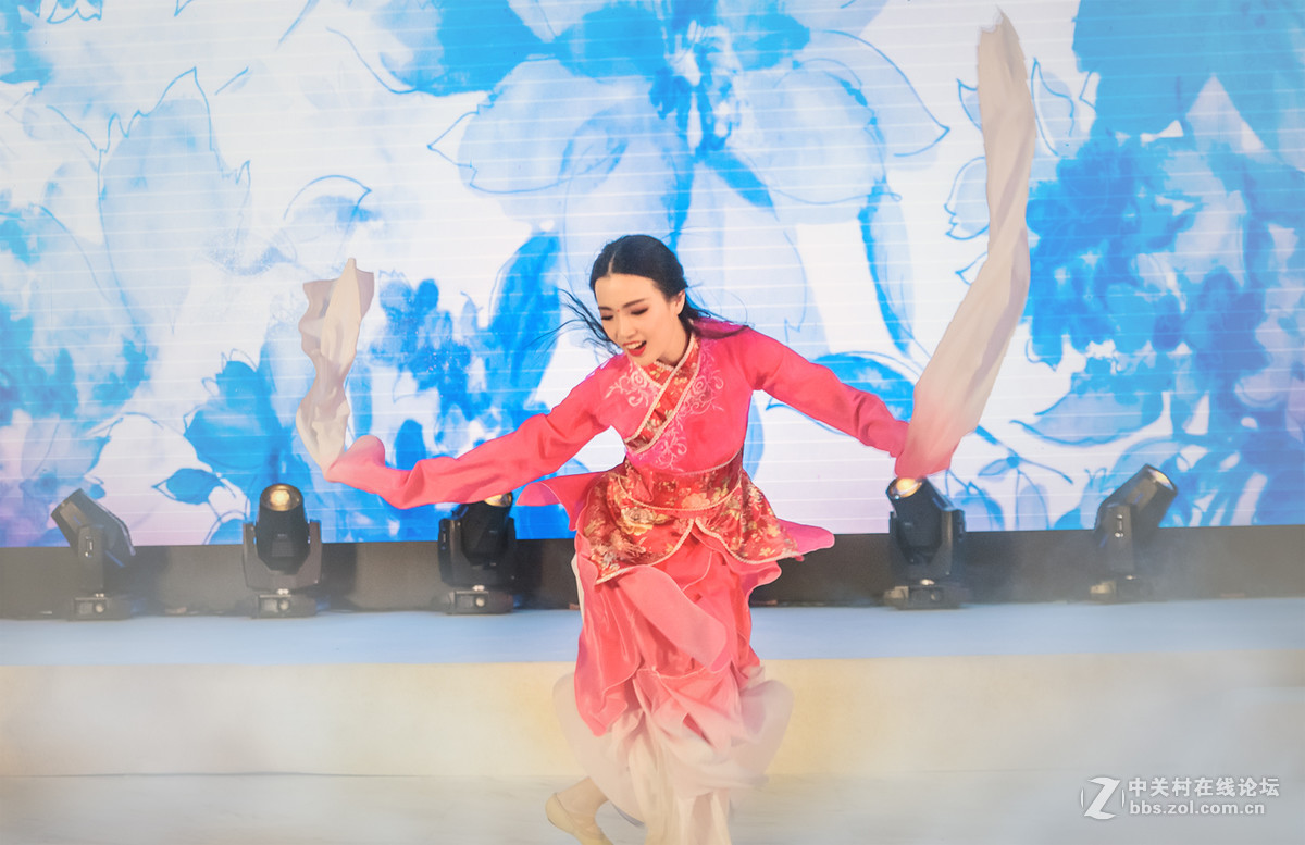 汉韵乐舞《惊鸿》节选
