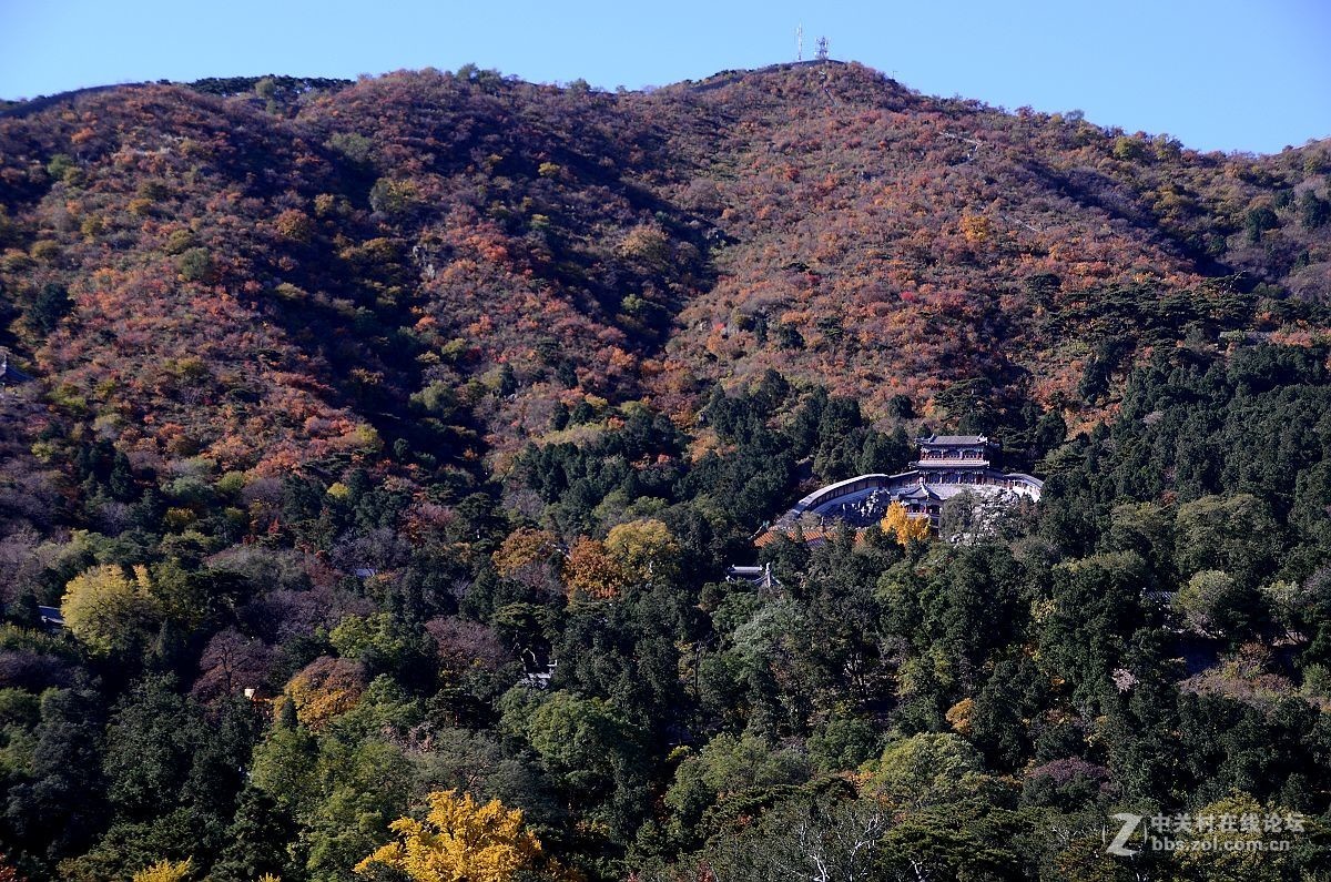 香山公園美景