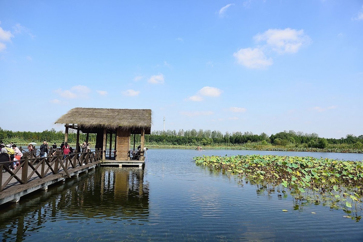2022溱湖国家湿地公园游玩攻略,溱湖湿地风景区位于中国著名...【去哪儿攻略】