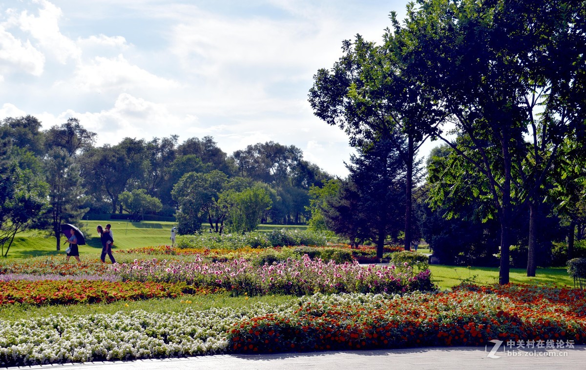 夏日的太阳岛公园